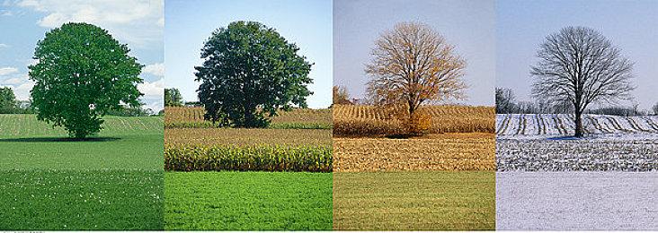 《空之轨迹 the 1st》于中国大陆PC版本售价公布  首发特典奖励公开！